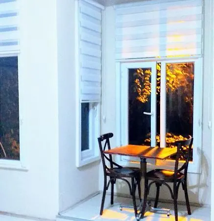 The Houses Plus Your Mansion In * Istambul